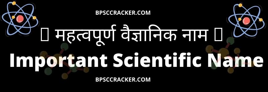 वैज्ञानिक का नाम, महत्वपूर्ण वैज्ञानिक नाम , वैज्ञानिक नाम लिस्ट, a-z सब्जियों का वैज्ञानिक नाम pdf, फलों के वैज्ञानिक नाम PDF, वैज्ञानिक नाम फल, सब्जियों के वैज्ञानिक नाम, वैज्ञानिक नाम List in English, जंतुओं के वैज्ञानिक नाम की लिस्ट,